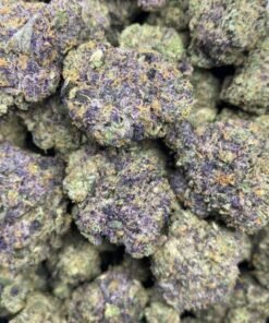 Stoney Patch Granddaddy Purple